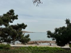 -青岛第二海水浴场