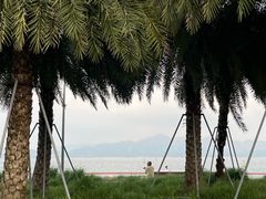 -深圳湾公园(南山区)