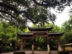 -杭州半山国家森林公园