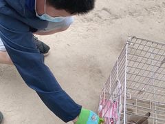 -前小桔亲子创意农场·草莓采摘·露营烧烤