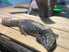 -石家庄市动物园