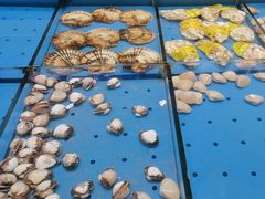 -北塘海鲜·天津菜(大光明桥旗舰店)
