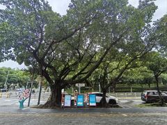 -深圳龙潭公园