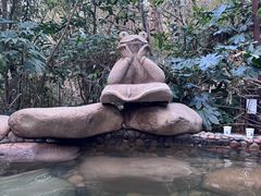 -天目湖涵田半山温泉