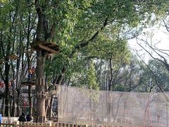 -WeLope紫金山探险公园