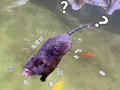 -正佳雨林生态植物园