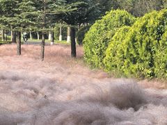 -华山御温泉度假村