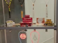 -健身专家Wellness Experts