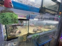 -花鸟鱼虫鲜花绿植市场(玉泉路店)