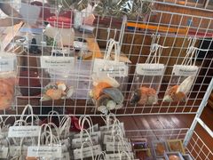 -蓝湾碧波·老字号·疍家非遗海上餐厅