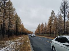 -塞罕坝国家级自然保护区