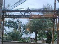 -南沙游艇会·大兵船餐厅