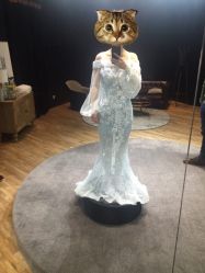 -南京宝娜嫁衣婚纱礼服馆(中央路店)