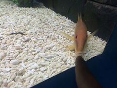 -水上乐园·欢乐世界