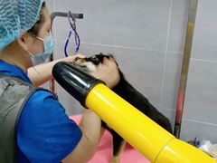 -宠福鑫康馨动物医院·骨科·眼科