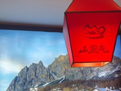 -山里屯铁锅炖·东北菜(康桥店)