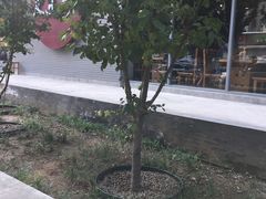 -友乐居羊蝎子(西直门店)