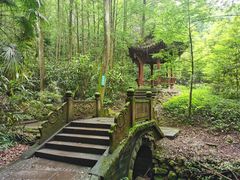 -凤栖山
