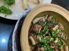 -红星光发煲仔饭(文海店)