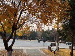 -东升八家郊野公园