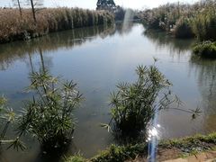 -捞渔河湿地公园