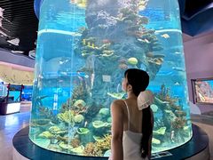 -福州罗源湾海洋世界旅游区