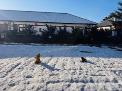 -大连步云山老汤度假山庄