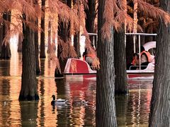 -味好美土菜(迎宾东路店)