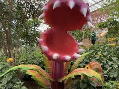 -沈阳植物园