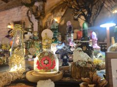 -雪灵魔法世界SHELLY’S TAROT(大良桂畔里店)