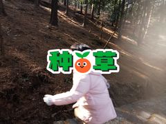 -四明山国家森林公园