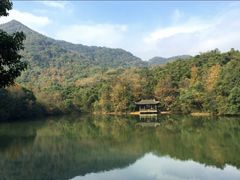 -杭州半山国家森林公园