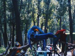 -北京野生动物园