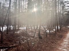 -帽儿山国家森林公园