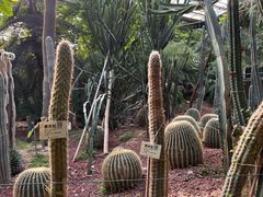 -呀路古热带植物园