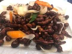 -清真·益鑫羊肉手抓馆(花园北街店)