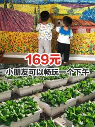 -小蜜蜂农场(凯德七宝购物广场店)