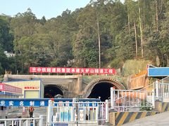 -火炉山森林公园