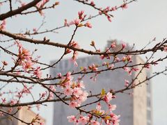 -西北湖绿化广场