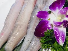 豆腐鱼-围炉夜话·潮汕卤水火锅(榕江店)