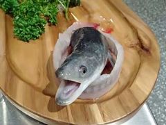 -本炙炭烤·蒲烧活鳗料理店(金沙洲店)