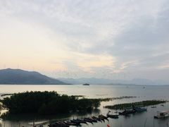 -盐洲岛