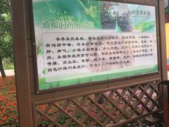 -御林古桑园