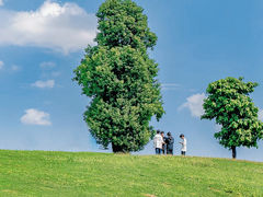 -深圳湾公园(南山区)
