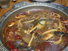 -成老灶火锅鸡(平山店)