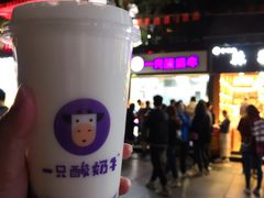 -一只酸奶牛(八一路店)