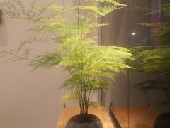 -左悦·艾灸调理·推拿按摩·精油SPA(卓悦汇店)
