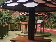 -广州市流溪河国家森林公园
