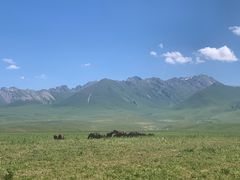 -新疆那拉提国家旅游度假区