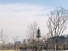 -上海山野camping·户外天幕烧烤·团建拓展营地